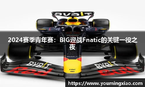 2024赛季青年赛：BIG迎战Fnatic的关键一役之夜